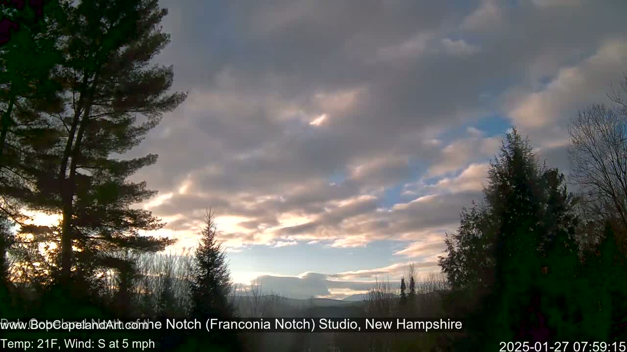 Silhouetted evergreens stand against a partly cloudy sky with a hint of sunrise, a light breeze blowing.