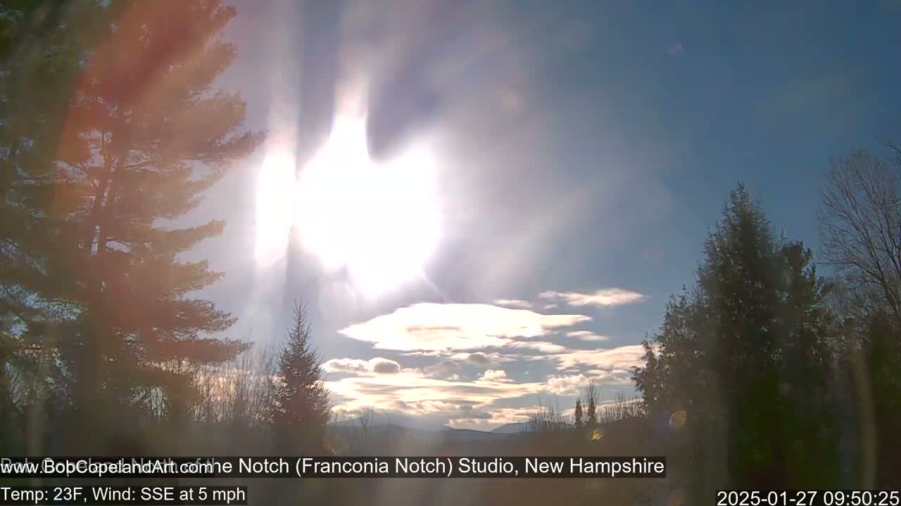 A bright, sunny day with a few scattered clouds and a light south-southeasterly wind, viewed from amidst evergreen trees.
