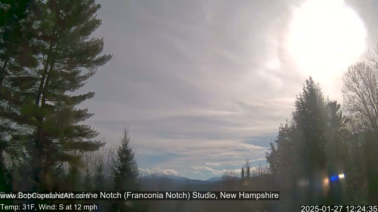 A partly sunny day with a light south wind shows distant mountains behind a line of evergreens.