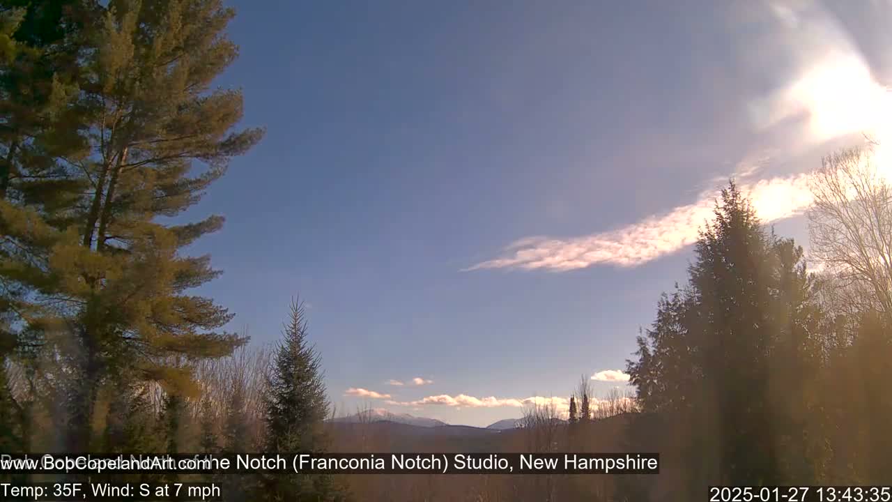 A sunny, partly cloudy day with a light south wind reveals distant mountains through a stand of evergreen trees.
