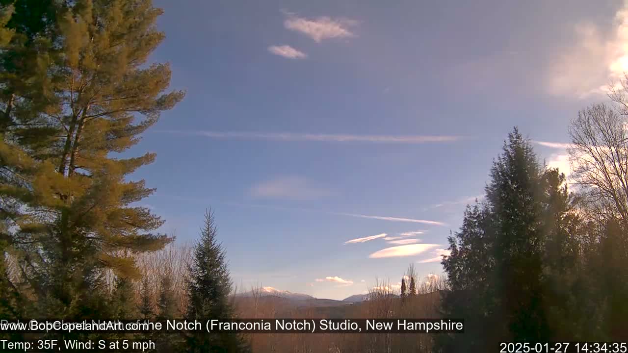 A mostly clear, light blue sky with wispy clouds and a slight breeze over a snow-capped mountain range viewed from behind a line of evergreens.