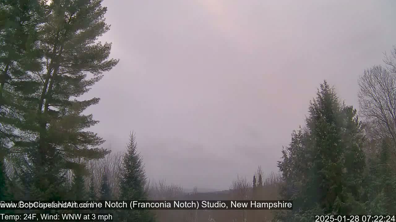 A hazy, light gray sky hangs over a landscape of evergreens, partially obscured by a light fog.
