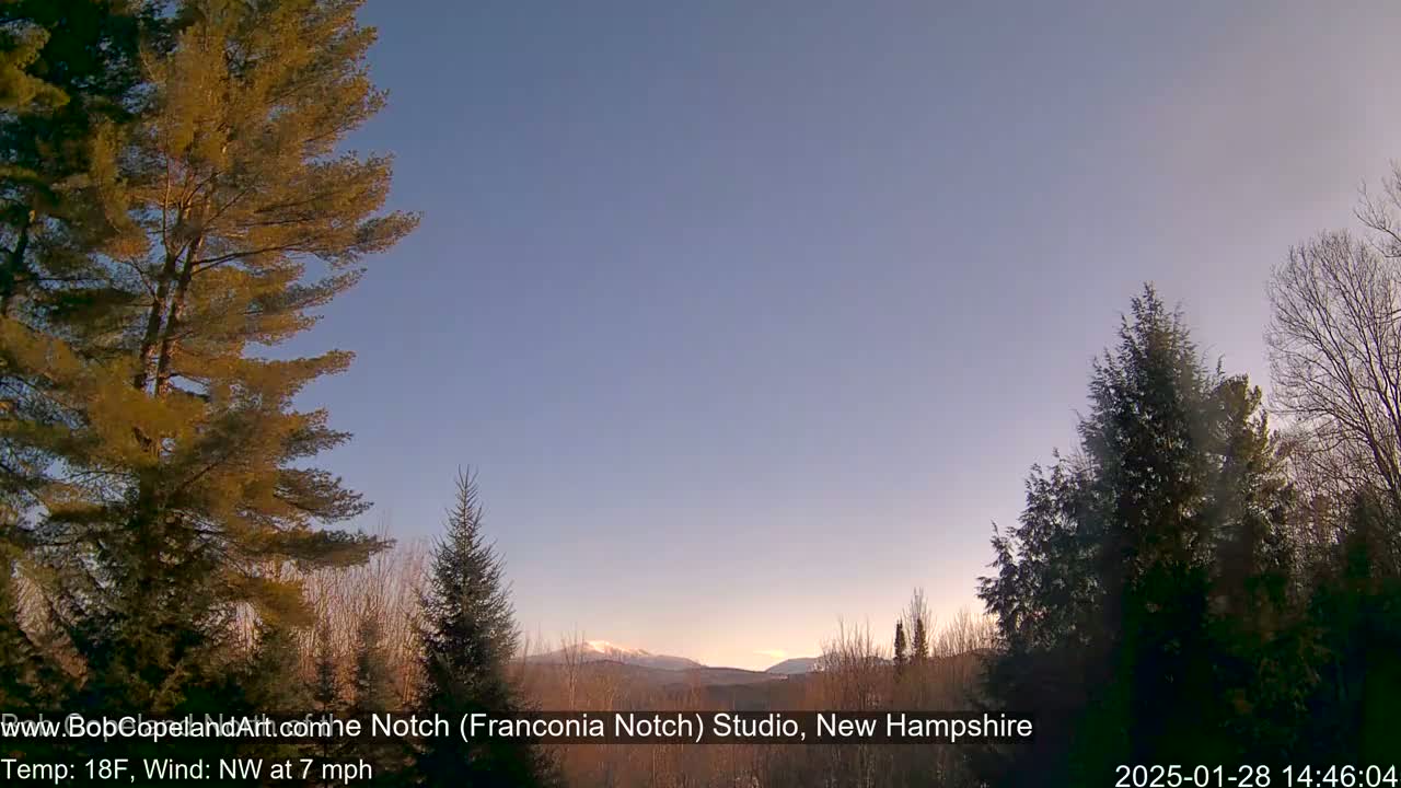 A clear, cool day with a northwest wind shows distant snow-capped mountains through a stand of evergreens.