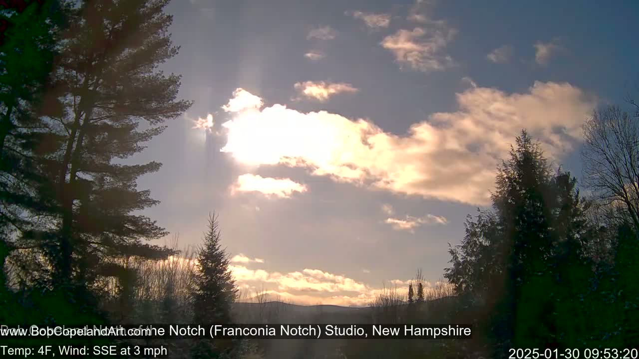 A partly sunny sky with fluffy clouds is visible behind silhouetted evergreen trees, under a temperature of 4°F and a 3 mph wind.