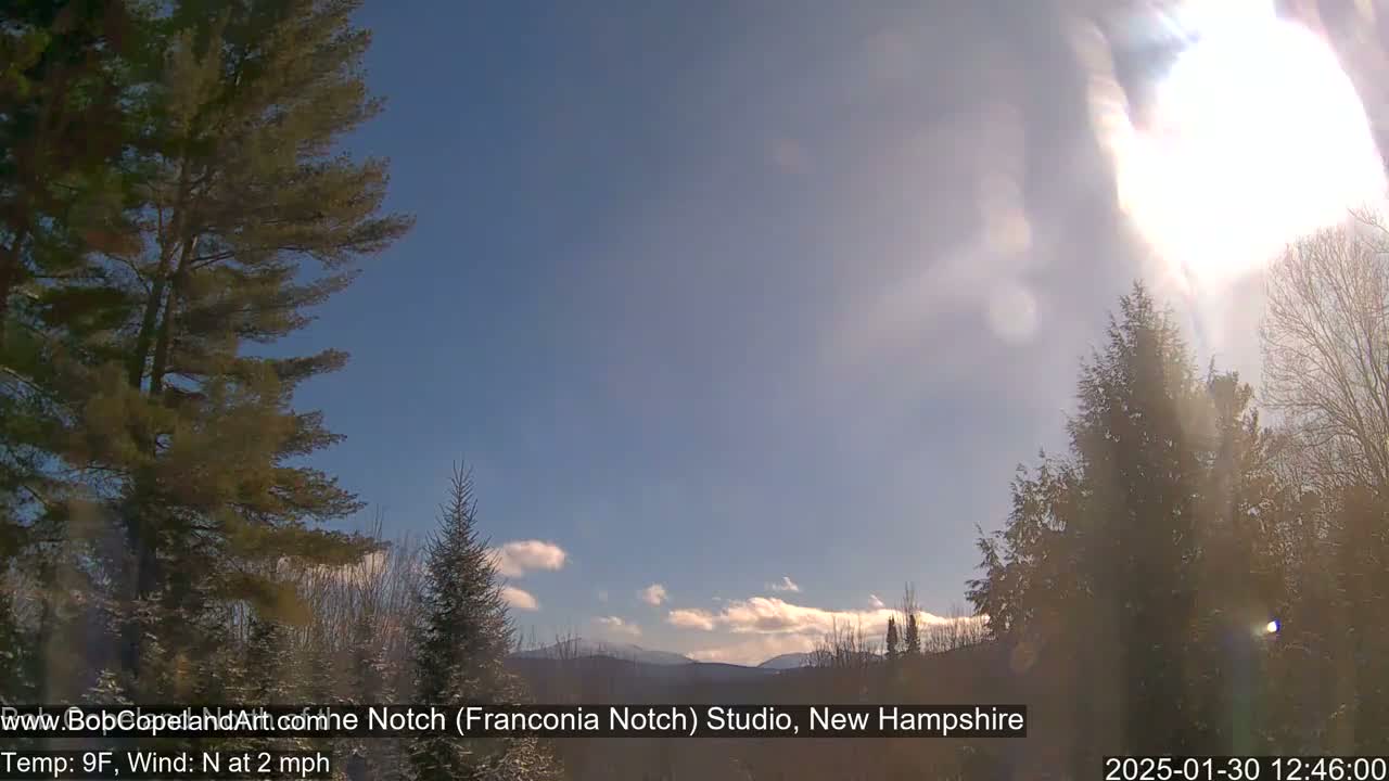 A sunny, but cold, winter scene shows snow-covered evergreens in the foreground with mountains in the distance under a mostly clear sky.