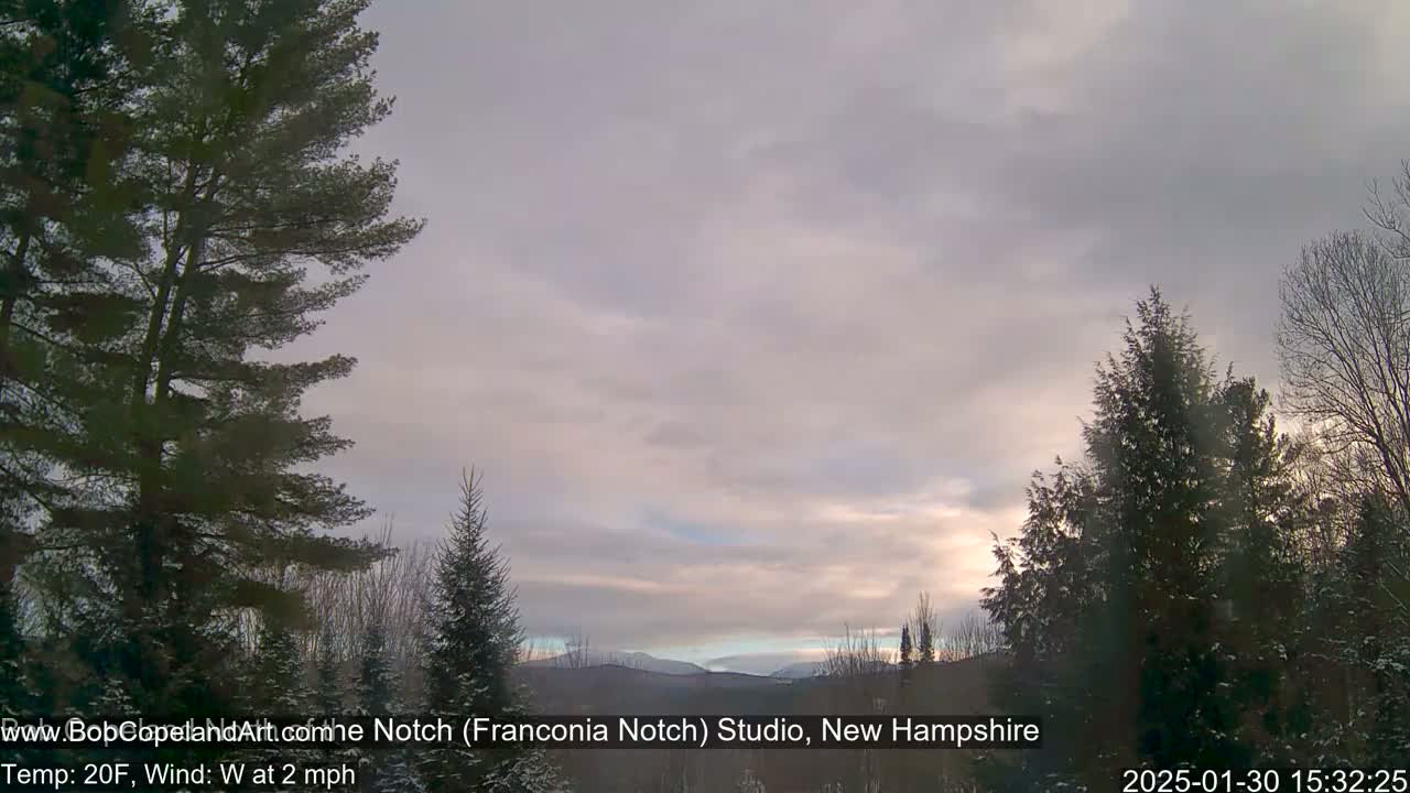 A partly cloudy, pale sky over snow-dusted evergreen trees and distant mountains, with a light westerly wind.