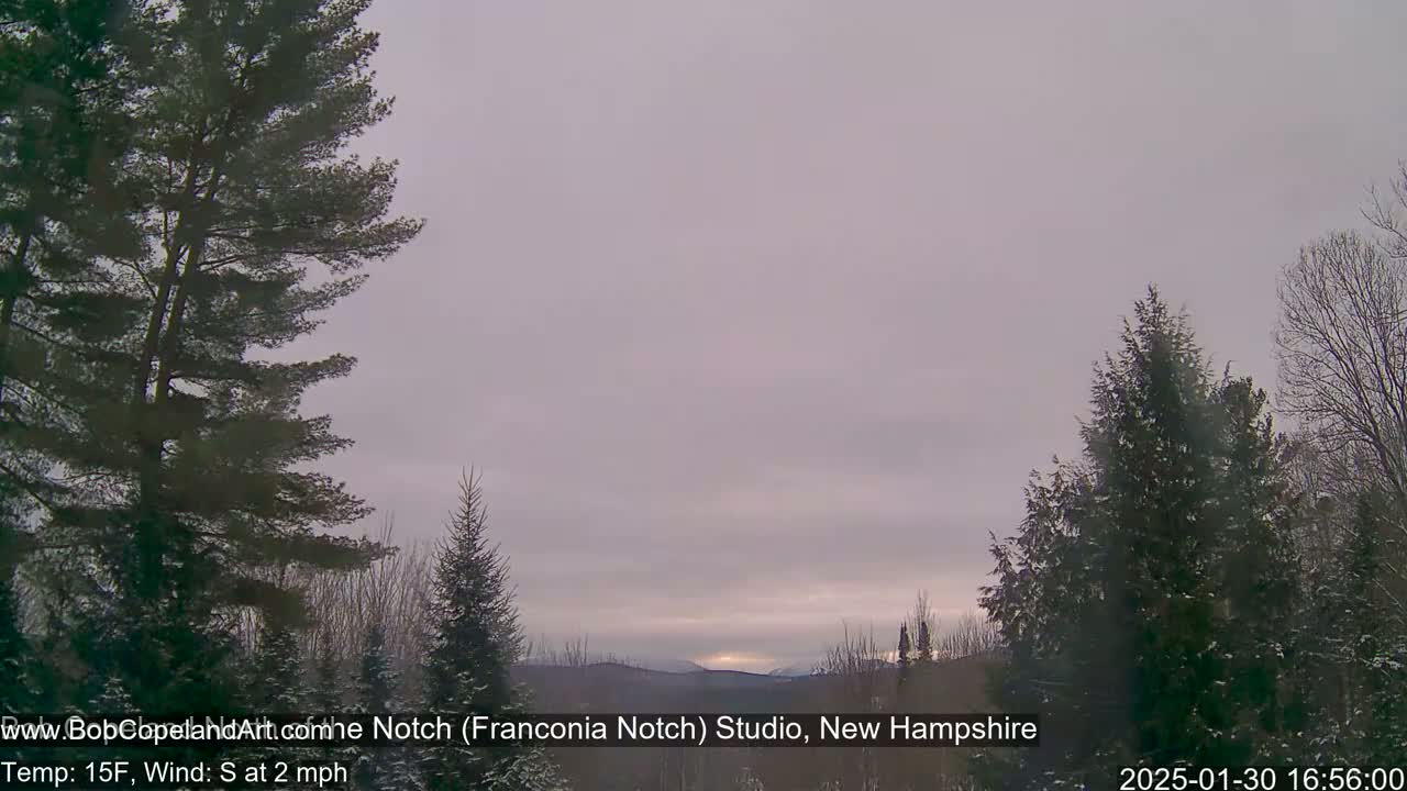A view of snow-covered evergreens and distant mountains under a pale, overcast sky.