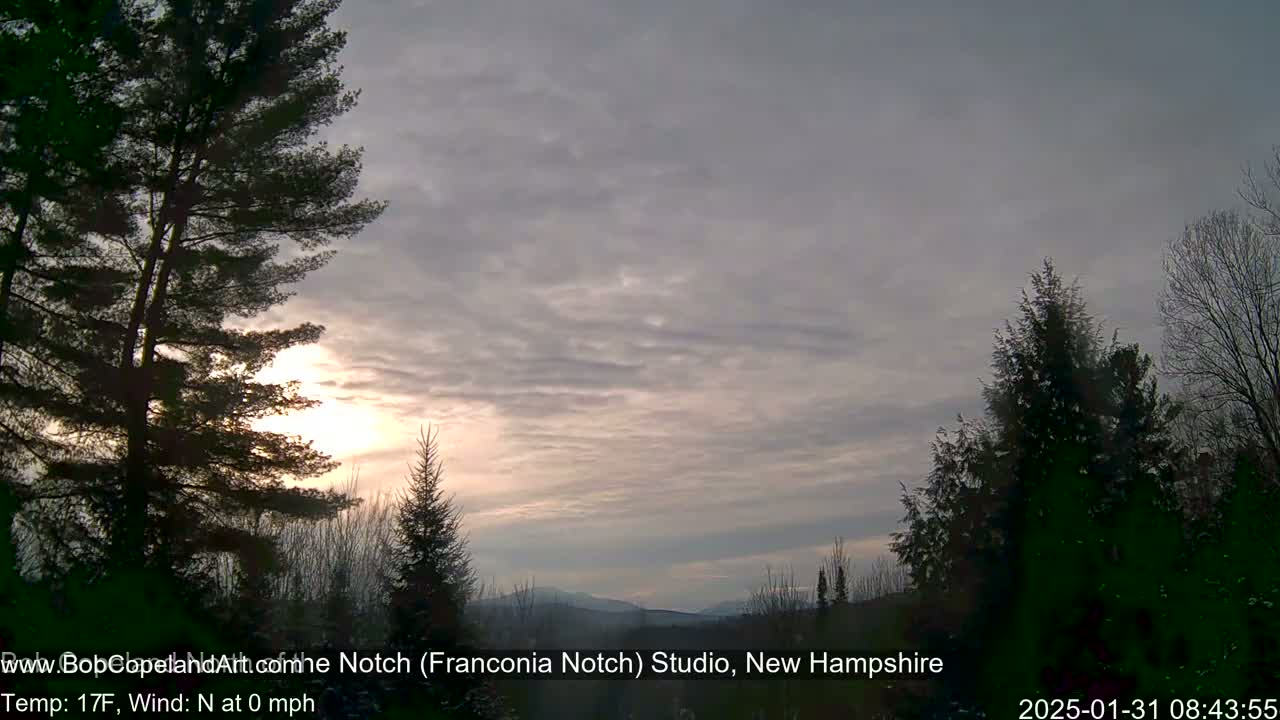 Silhouetted trees frame a sunrise with a mostly cloudy, pale gray sky and distant mountains.