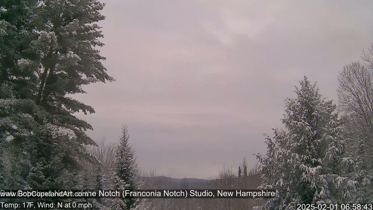 Snow-covered evergreen trees are in the foreground of a winter landscape under an overcast sky.