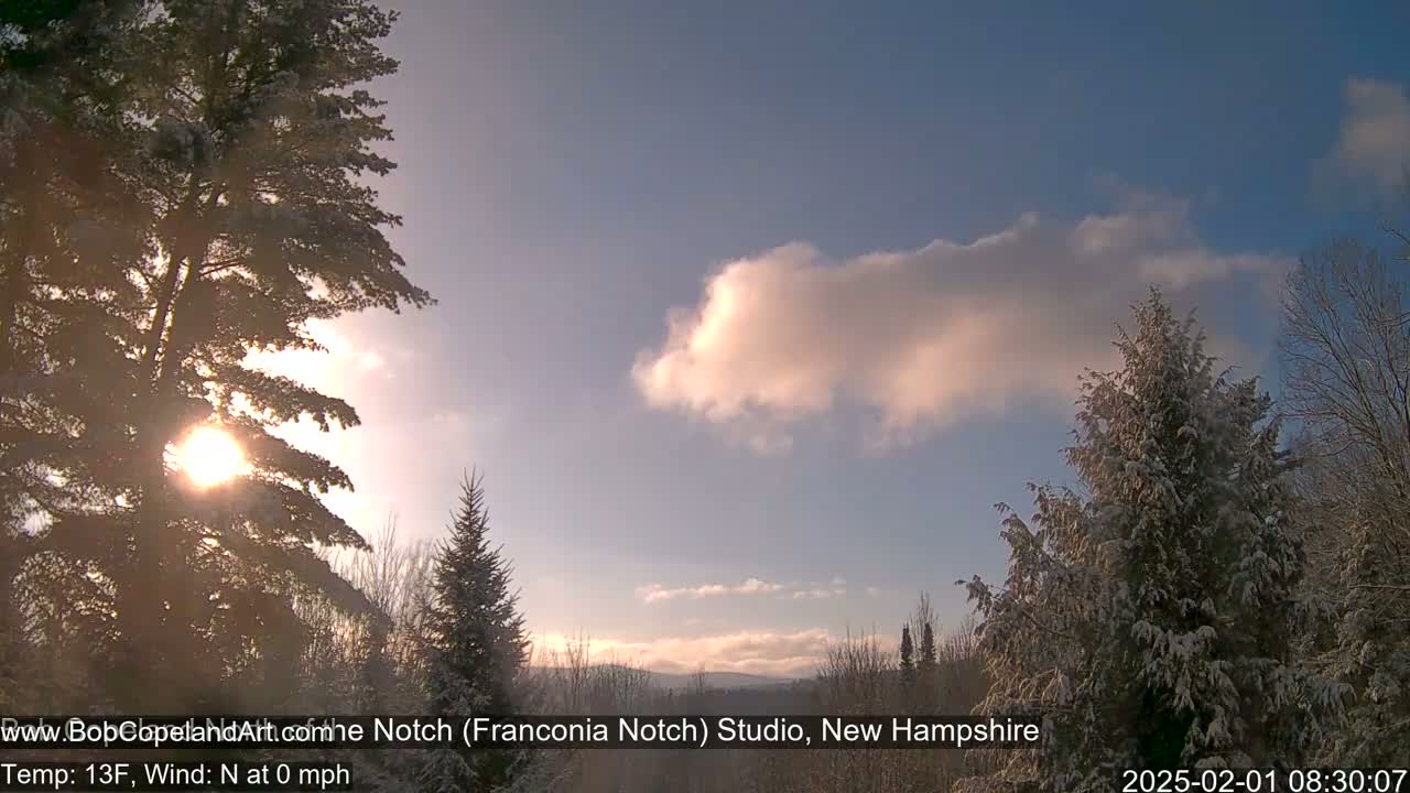 Snow-covered evergreen trees stand silhouetted against a partly cloudy, sunrise sky, with a calm wind.