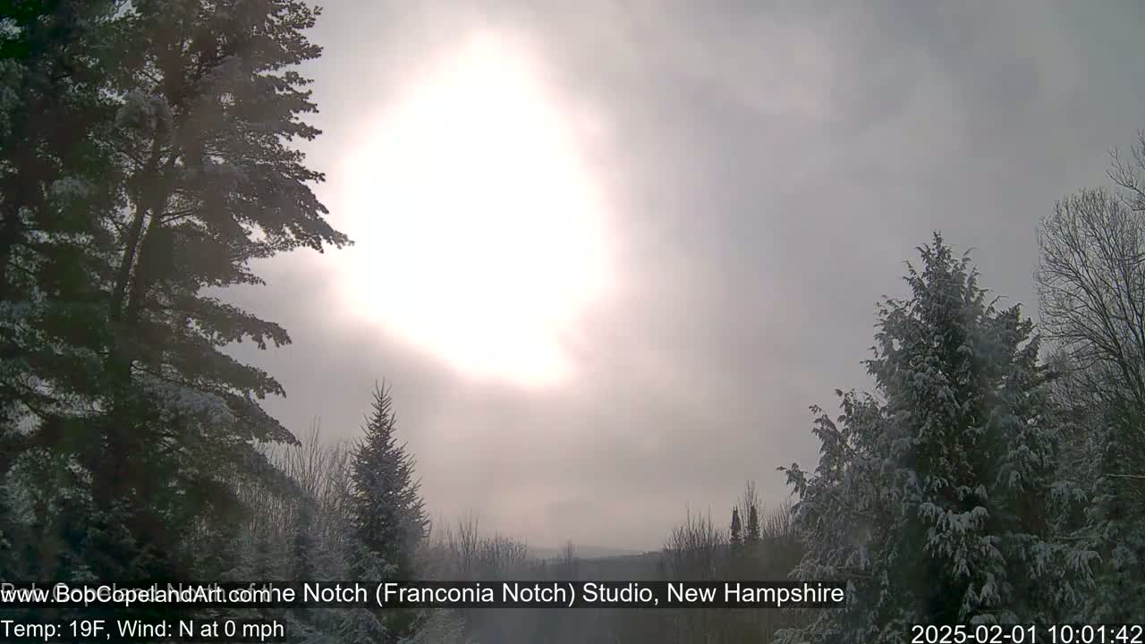 Snow-covered evergreen trees are silhouetted against a hazy, sunlit sky.