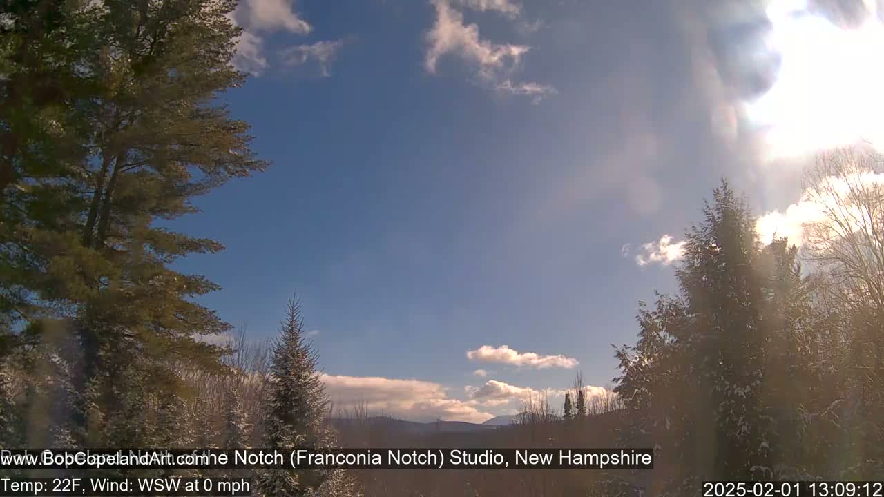A partly sunny winter day with snow-covered evergreens and distant mountains under a mostly clear blue sky.
