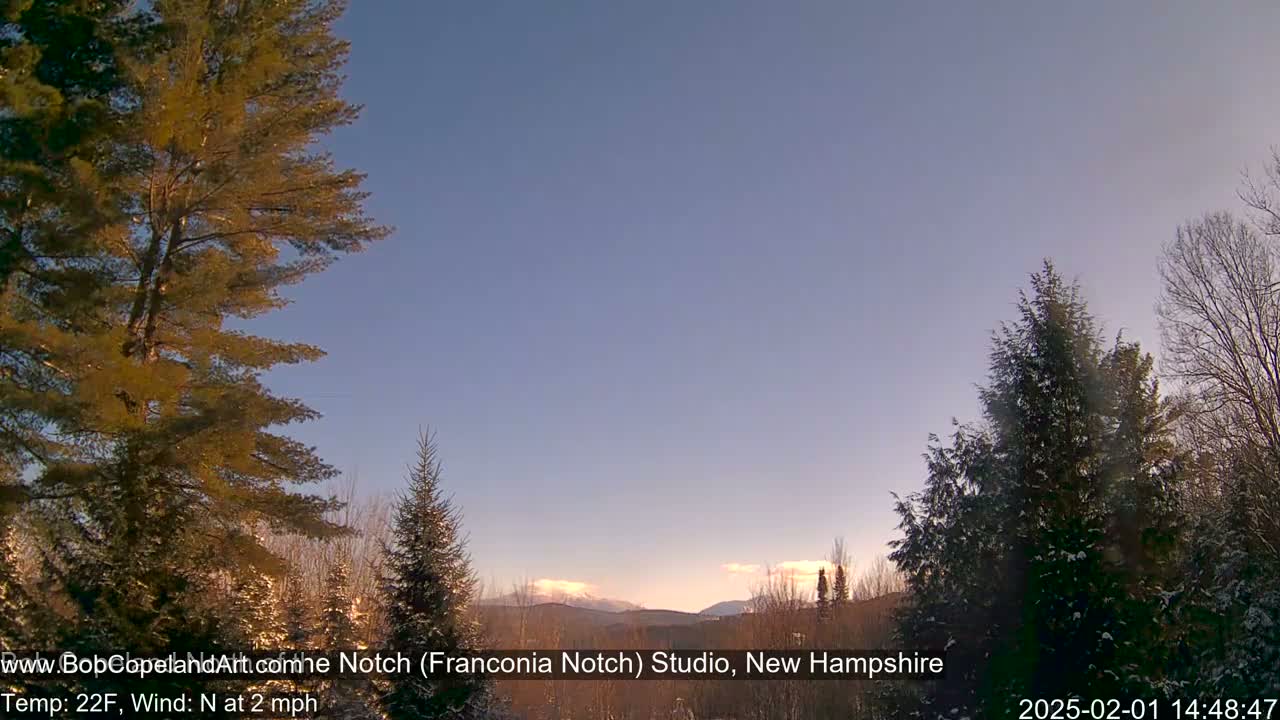 Snow-covered evergreens frame a view of distant mountains under a clear, pale blue sky.