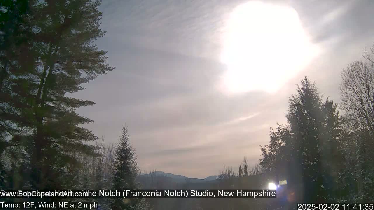 A partly sunny, cold day with a light northeast wind shows snow-dusted evergreen trees in the foreground and distant mountains under a bright sun.