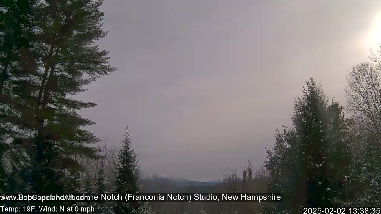 A hazy, overcast view of snow-covered evergreens and distant mountains in a 19°F landscape with no wind.