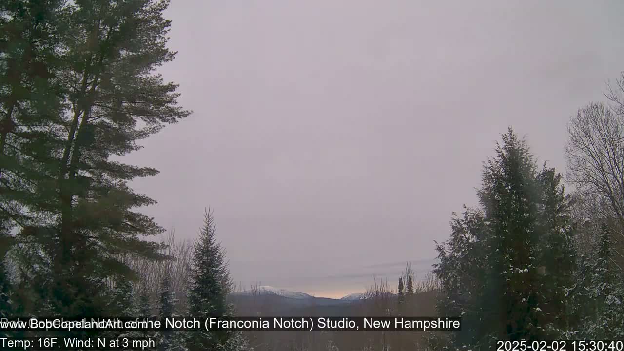 A snow-dusted, winter landscape shows distant mountains under a pale, overcast sky.