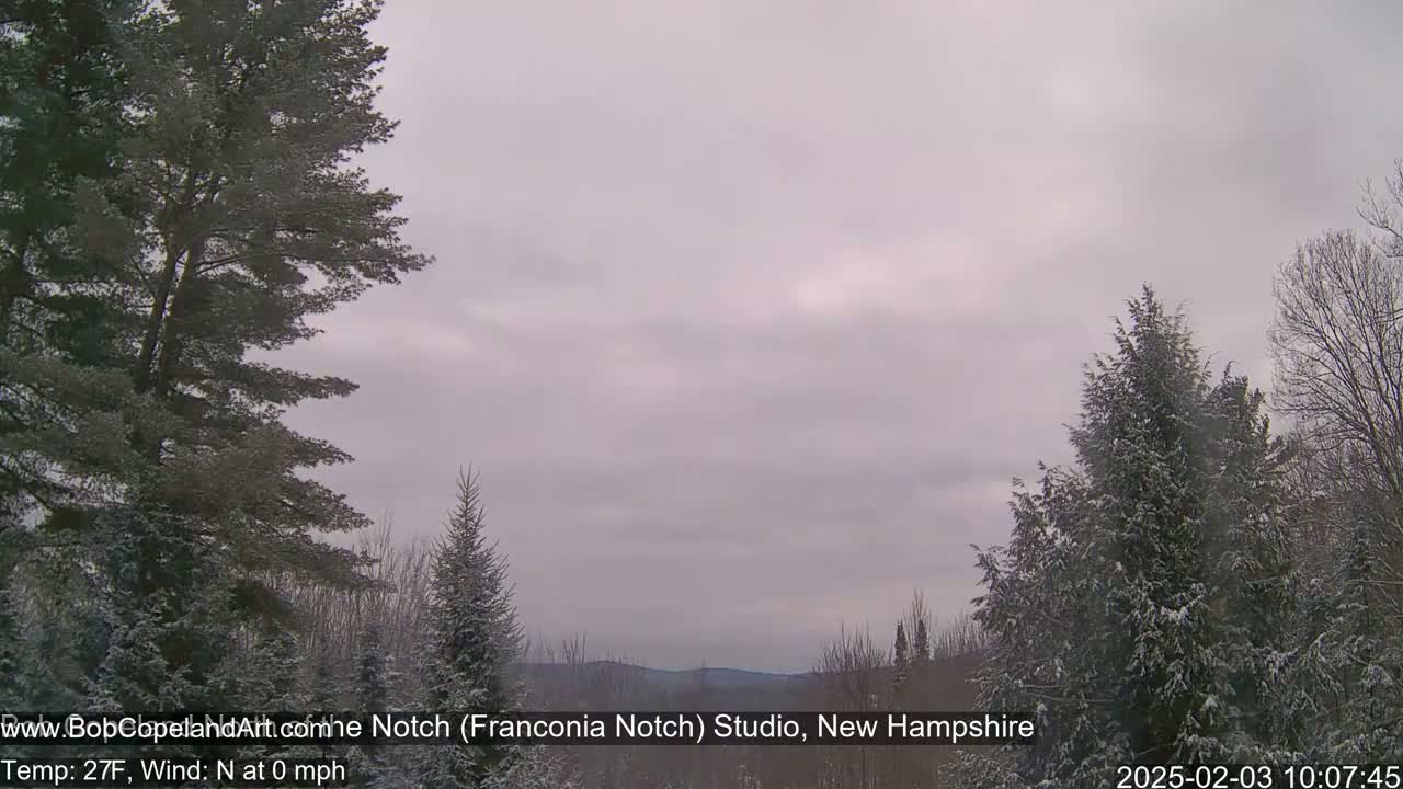 A snow-covered landscape of evergreens under an overcast sky.