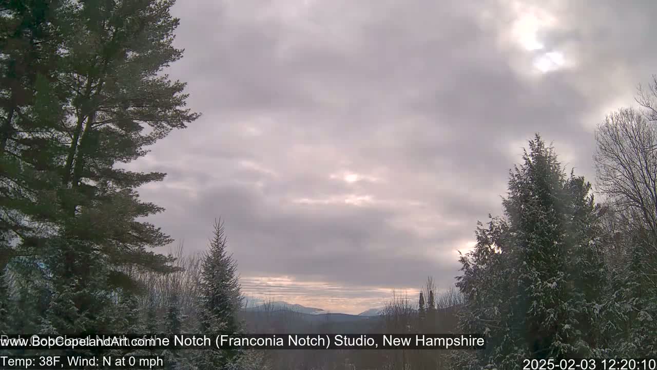 Snow-covered evergreen trees frame a view of a partly cloudy sky with a distant mountain range under a pale sun.