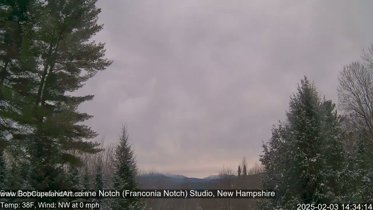 Snow-covered evergreens frame a view of distant mountains under an overcast sky.