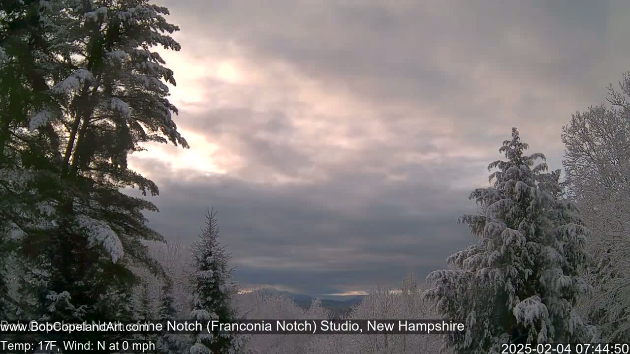 Snow-covered evergreen trees frame a view of a partly cloudy, sunrise sky.