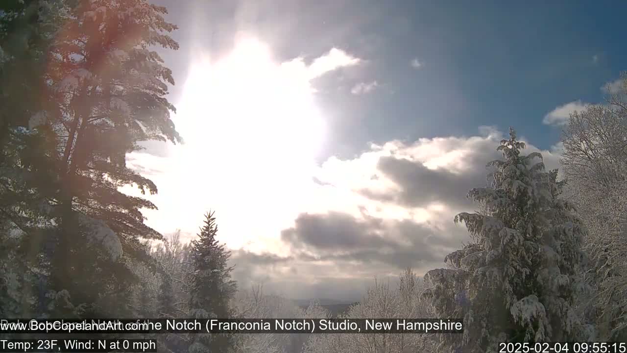 Snow-covered evergreen trees stand against a partly sunny sky with some clouds.