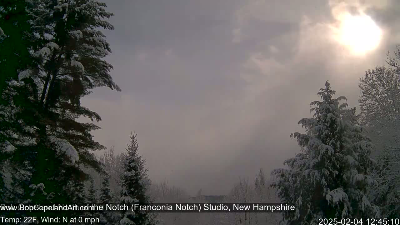 Snow-covered evergreens stand under a hazy, partly sunny sky.