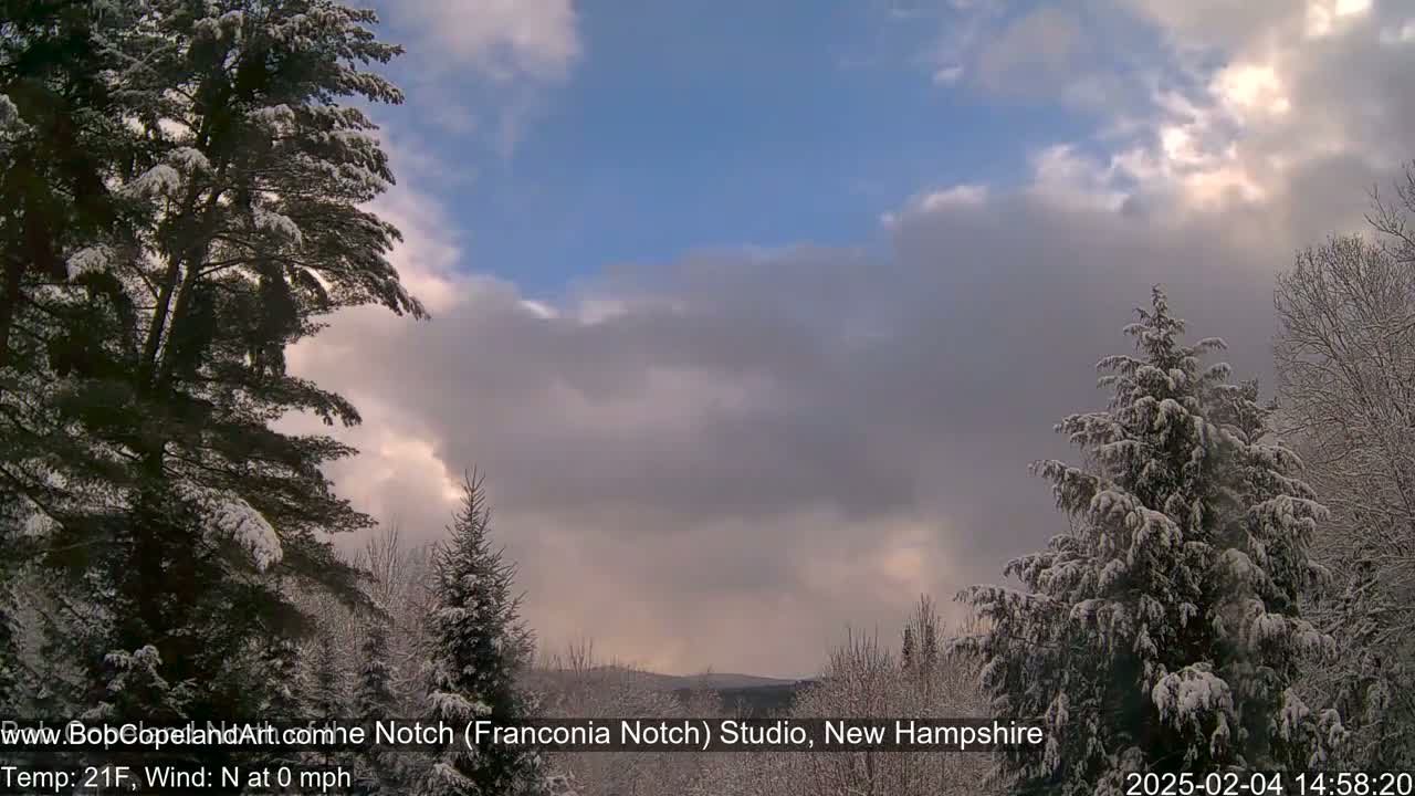 Snow-covered evergreen trees frame a view of a partly cloudy sky under which distant hills are visible.
