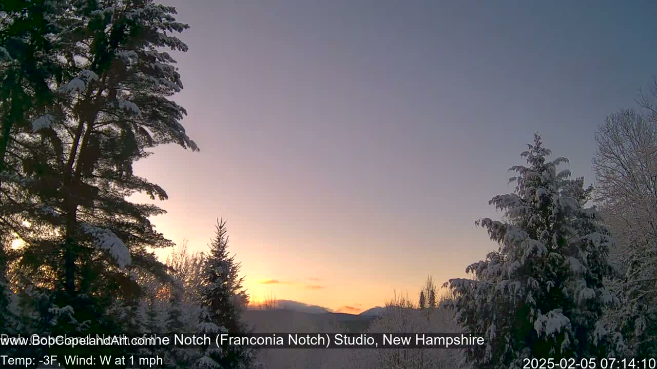 Snow-covered evergreens frame a sunrise over a distant mountain range in a snowy landscape.