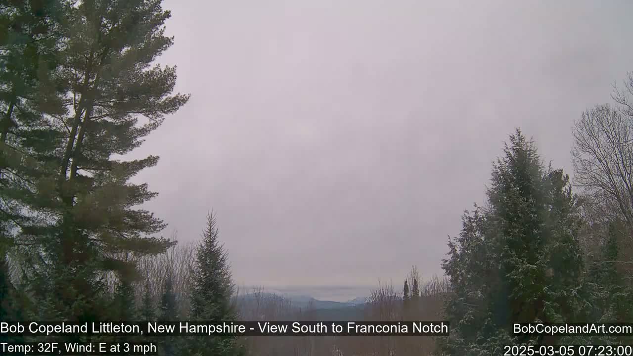 A hazy, overcast view of a snow-dusted landscape, featuring evergreen trees in the foreground and distant mountains under a pale sky.