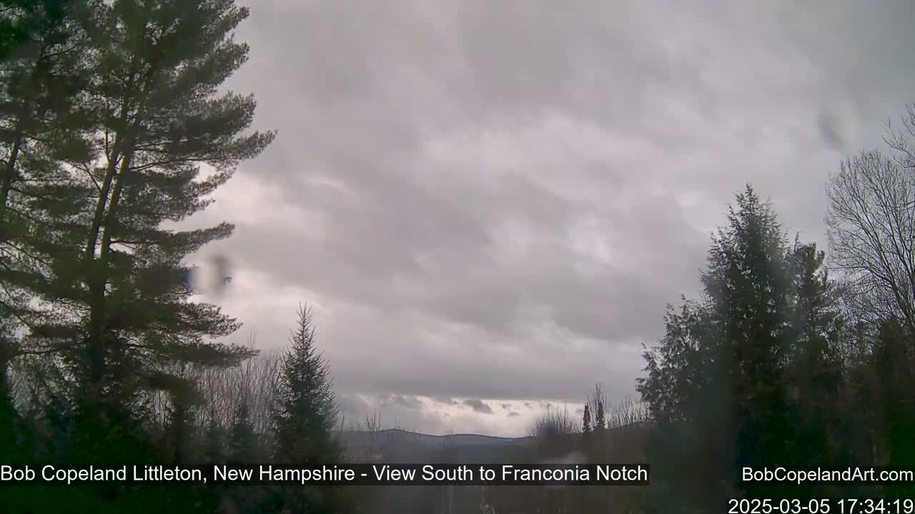 A view of a cloudy sky over a line of dark evergreen trees and distant mountains.