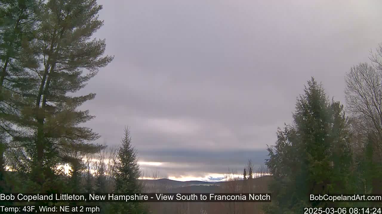 A mostly cloudy sky with a hint of sunlight breaking through, viewed from behind several evergreens, reveals distant hills.