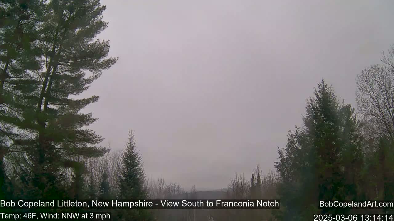 A foggy, overcast view of trees and a distant, indistinct landscape.