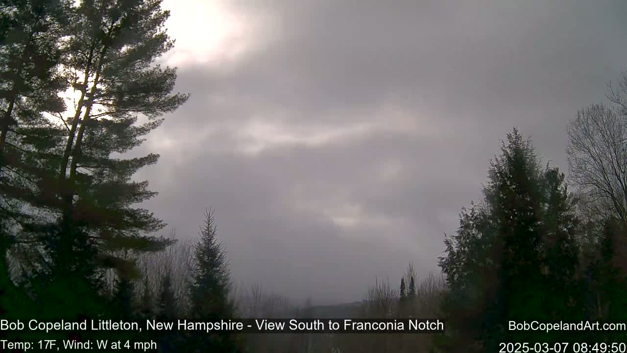 A mostly cloudy, somewhat hazy day with a faint sun visible through the clouds, showcasing evergreens in the foreground and a distant view of a landscape.