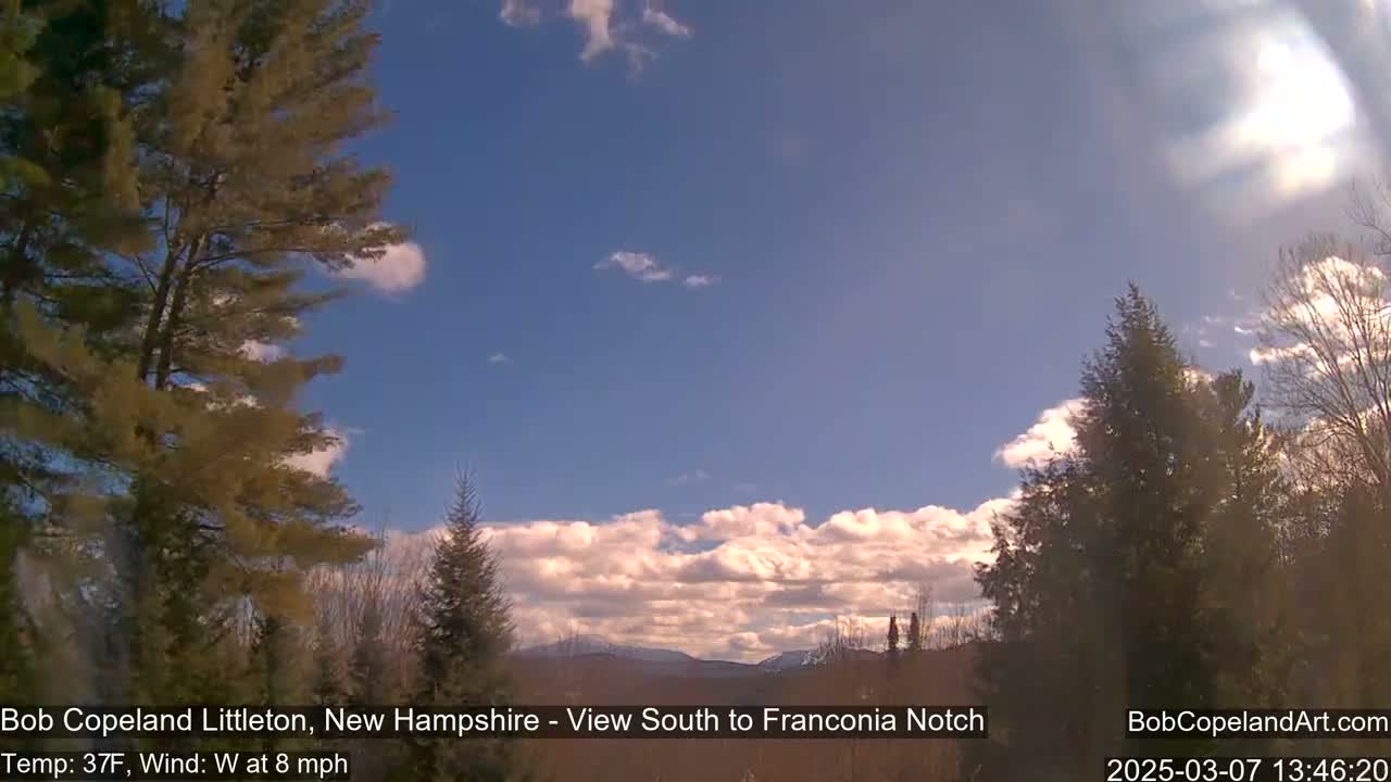 A partly sunny day with a light wind shows a view of snow-capped mountains in the distance, framed by evergreens.