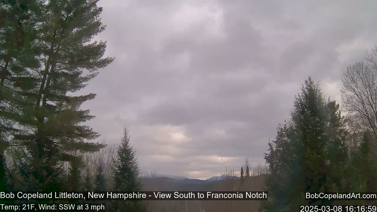 A view of distant mountains under an overcast sky, framed by evergreen trees in a landscape with a light wind.