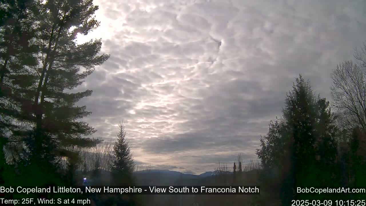 A partly sunny sky with thin clouds is visible over a snow-covered mountain range, framed by dark evergreen trees in a landscape at 25°F with a south wind of 4 mph.