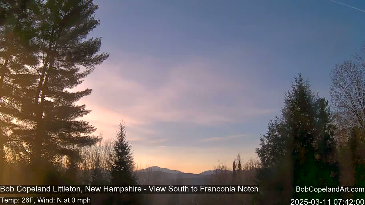 Silhouetted evergreens frame a sunrise over distant mountains under a pale, clear sky.