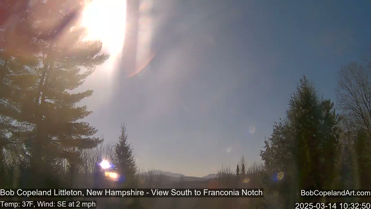 A bright, sunny day with a slight southeast wind shows a view of distant mountains through bare trees.