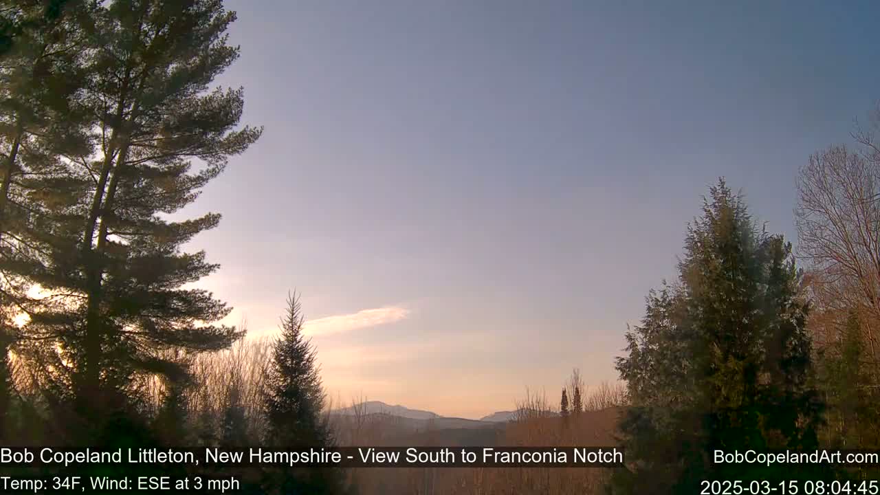 A sunrise illuminates a mountainous landscape viewed through a stand of evergreens under a mostly clear, pale sky.