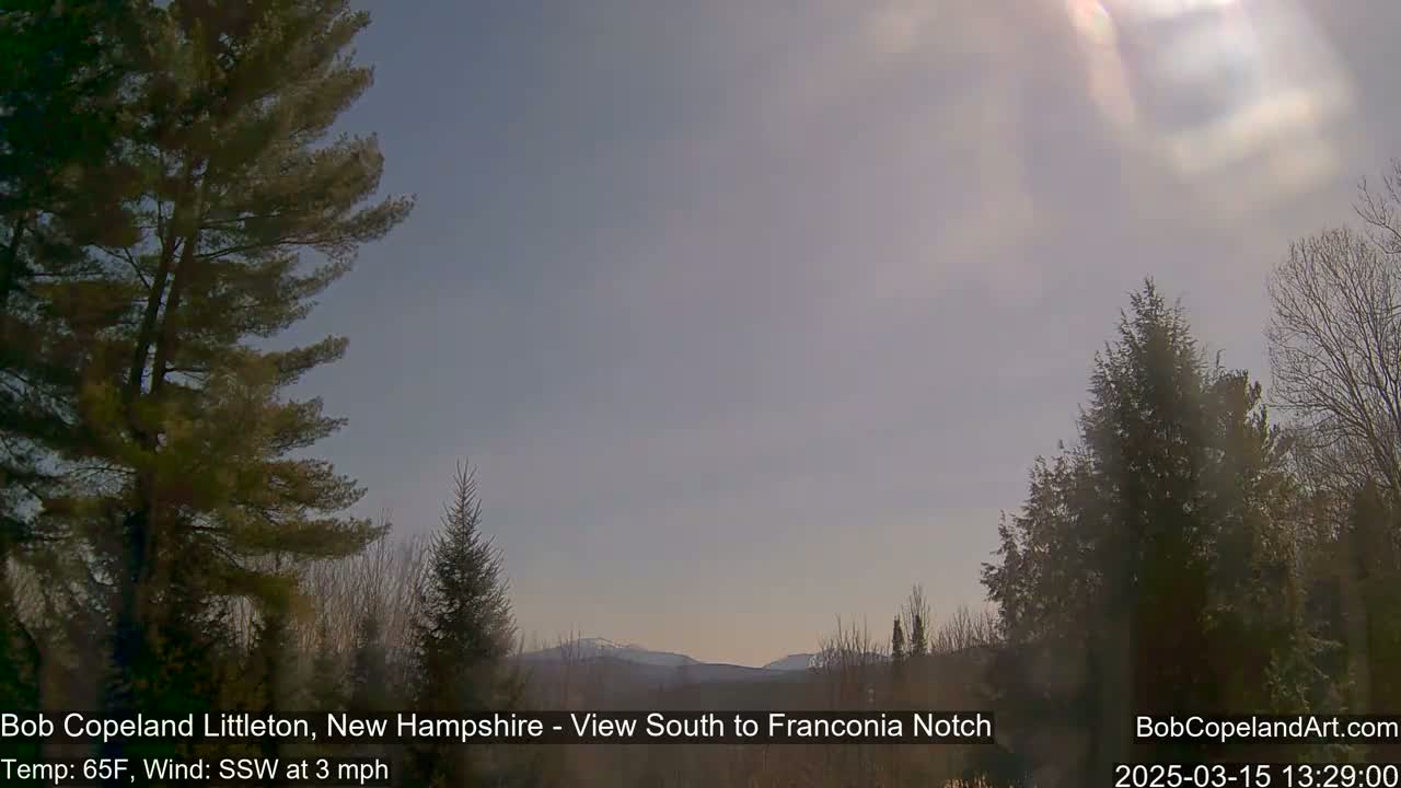A mostly sunny view of distant mountains through a stand of evergreens, under a hazy sky.