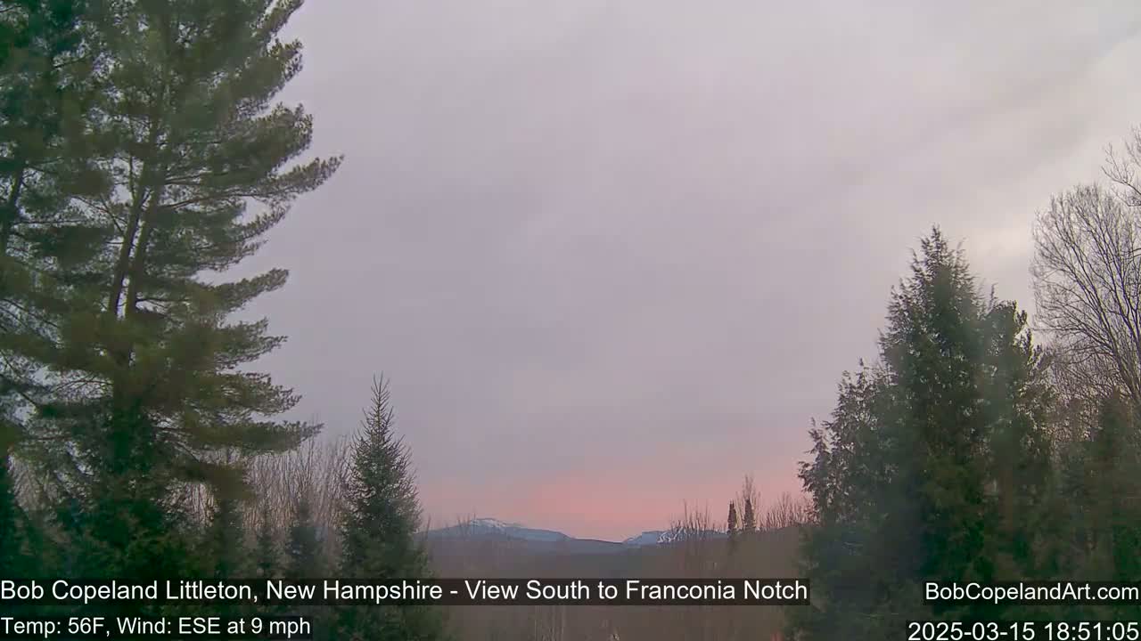 A pinkish sunset illuminates snow-capped mountains in the distance, partially obscured by evergreens under a mostly cloudy sky.