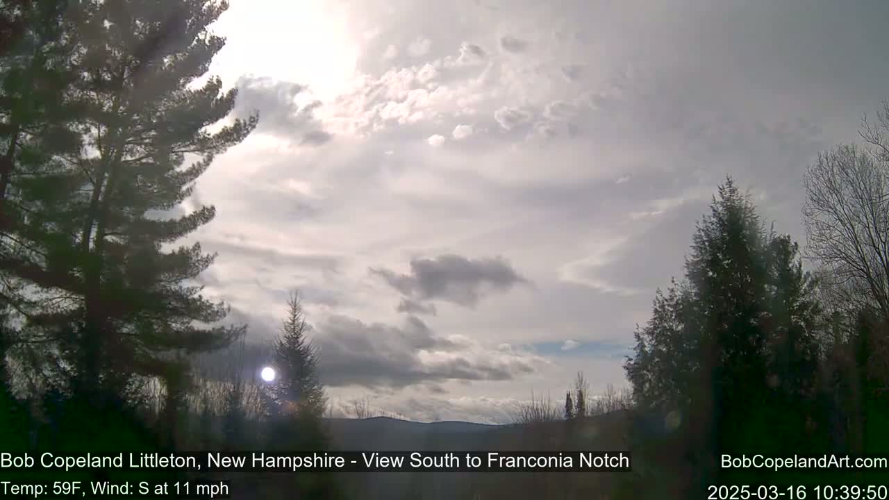 A partly cloudy sky with the sun shining through, a slight breeze blowing, and dark evergreen trees in the foreground.