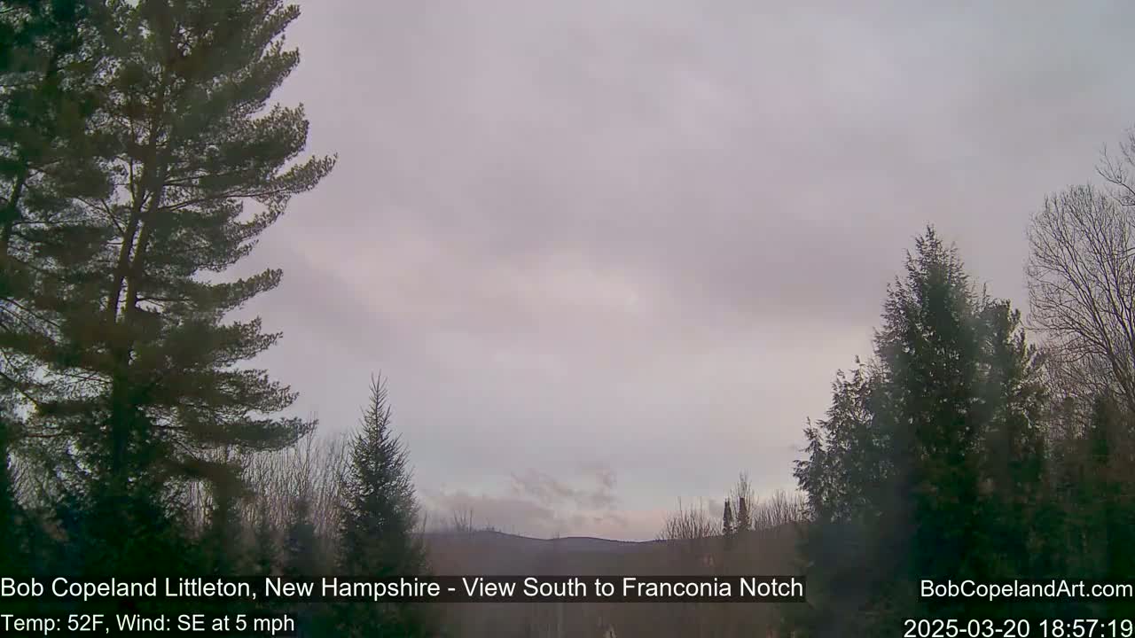 A view of a mountain range under an overcast sky, framed by evergreen trees.