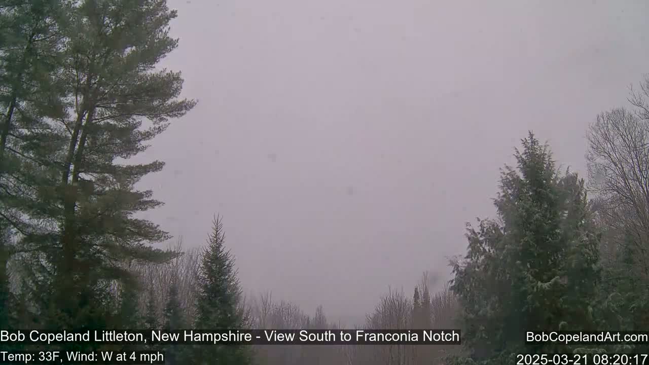 Light snow falls over a landscape of evergreens and deciduous trees.