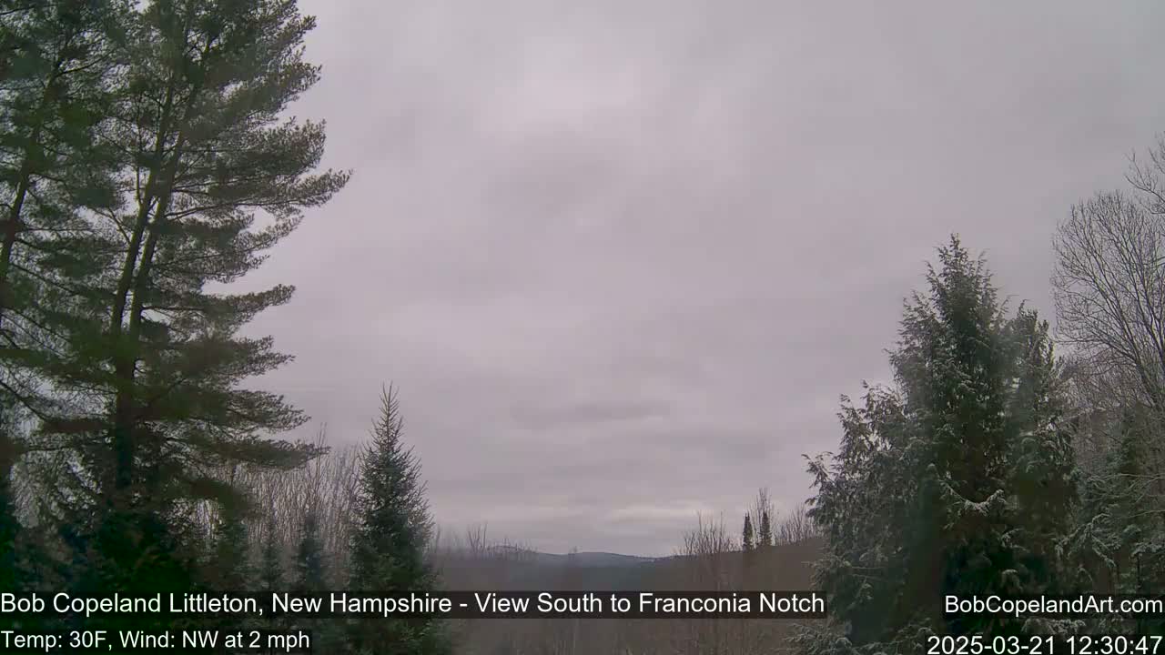 A view of snow-dusted evergreens under an overcast sky.