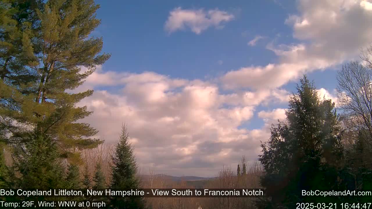 A partly cloudy sky with fluffy white clouds against a blue backdrop, viewed from a wooded area with evergreen trees in the foreground and distant mountains in the background.