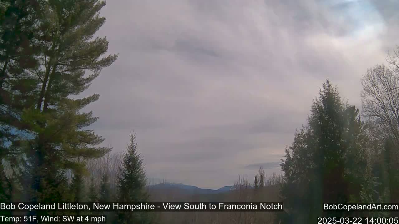 A view of distant mountains under a cloudy, overcast sky, framed by evergreen trees.