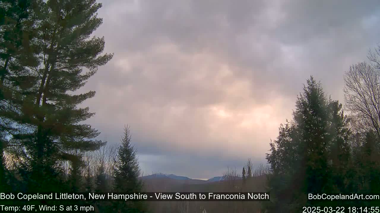 A partly cloudy, pale-pink sunset illuminates distant mountains behind a stand of evergreen trees.