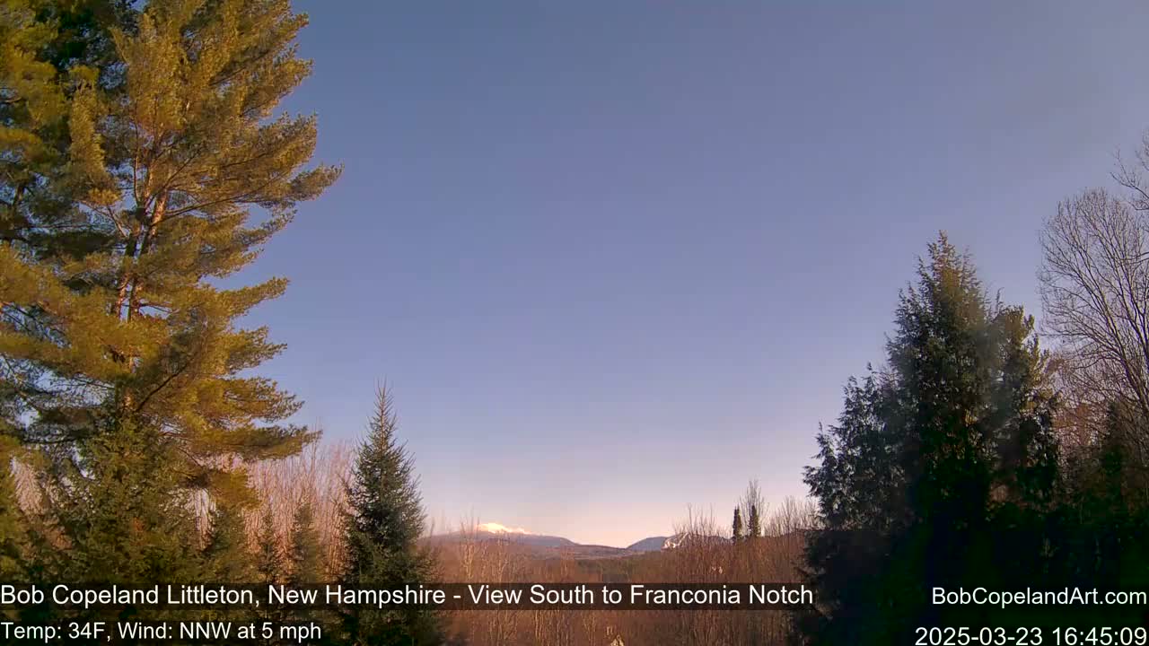 A clear, twilight sky over snow-capped mountains viewed from a wooded area with evergreen trees in the foreground.