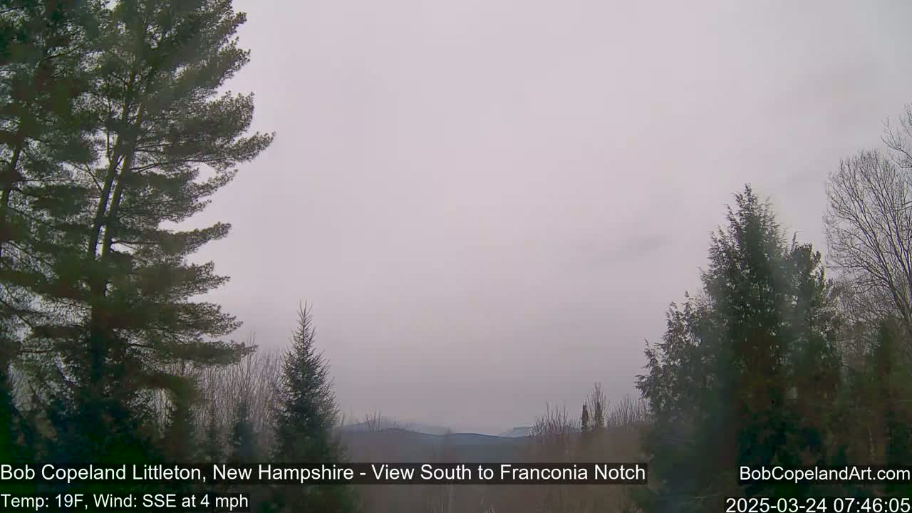 A hazy, overcast view of distant mountains through a stand of evergreen trees in a cold, windy climate.